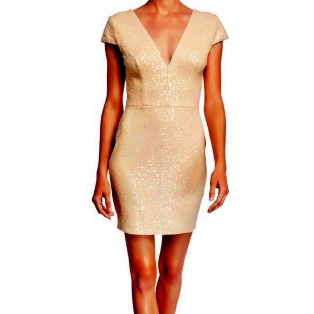 DRESS THE POPULATION Zoe Sequin
Mini Dress